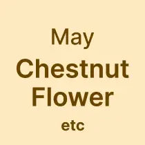 Shimokita Honey Badge Late May Chestnut Flower Flavour