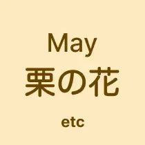 シモキタハニー 収穫時期と風味 バッジ 5月下旬 栗の花