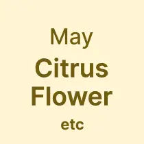 Shimokita Honey Badge Early May Citrus Flower Flavour